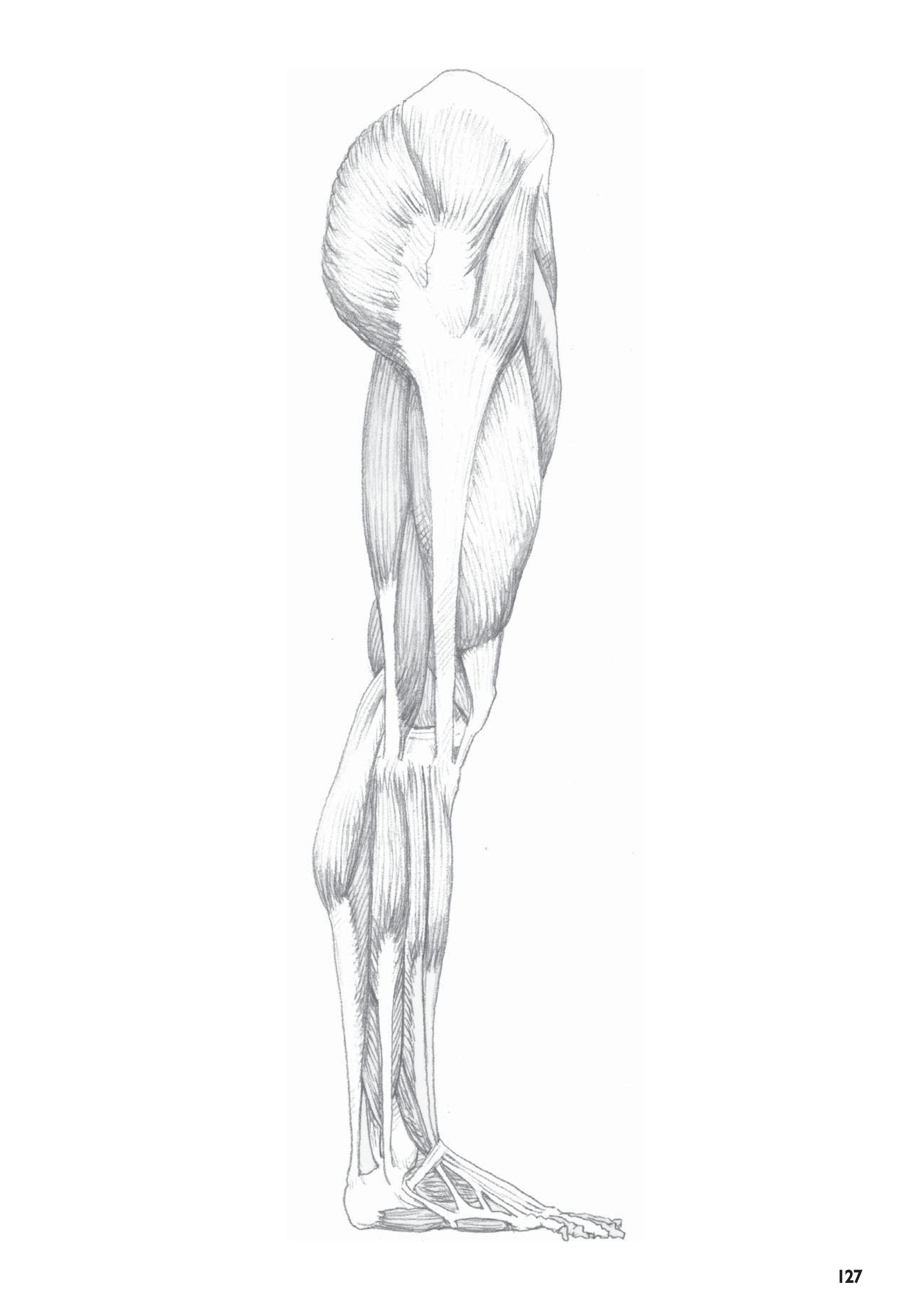 آموزش نقاشی طراحی سیاه قلم شهرری